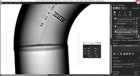 A screenshot of the <b>ISee! Professional</b> software